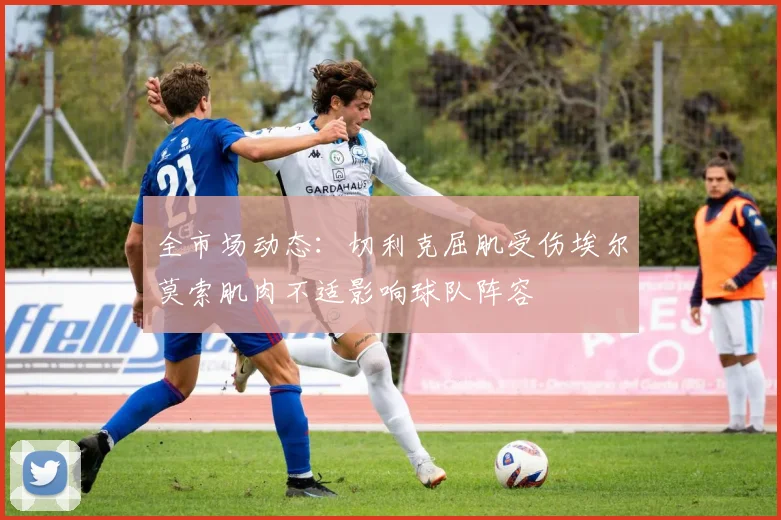 全市场动态：切利克屈肌受伤埃尔莫索肌肉不适影响球队阵容